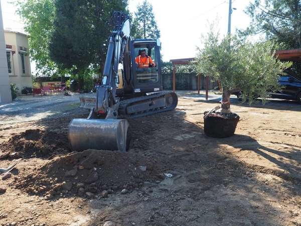 Plantation mécanique d'arbres par une de nos équipes de terrassement s